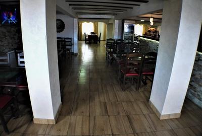 Hotel/Pensiune, de 10 mp, în Nicolae Bălcescu - 8