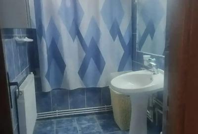 Apartament 2 camere nedecomandat 50 mp Etaj 4 ?arpanta la scara Priveli?te Mun?ii Parang - 7