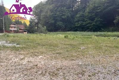 Teren valea Bratcutei - 3