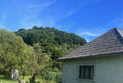 Casă cu 2 camere în Molișet - 8