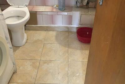 Apartament cu 2 camere decomandat în Camil Ressu - 3