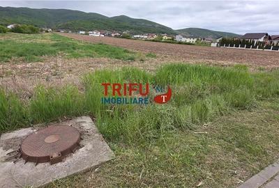 Teren de 4088 mp, în Cetate - 3