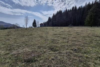 Teren intravilan la baza pădurii Valea Doftanei sat Traisteni (poduri) - 7