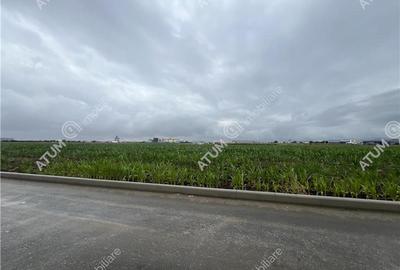 Teren agricol intravilan de 36122 mp, în Industrial Vest - 5