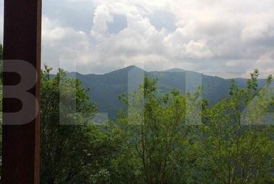 Casă cu 3 camere cu Teren 3000 Mp în Gilău - 8