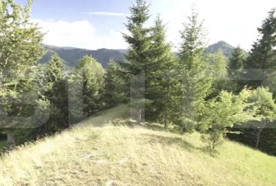 Teren de 16945 mp, în Central - 1