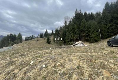 Teren de 3039 mp, în Colibița - 11