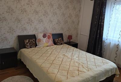 Apartament cu 2 camere semidecomandat în Lacul Tei - 7