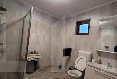 Casa de Vanzare Teremia Mare - 2