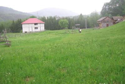 Teren de 4080 mp, în Valea Doftanei - 13