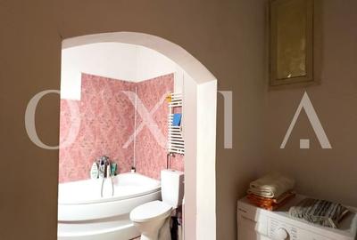 SX594 Casa individuala cu anexa si acces dublu, zona Ronat - 9