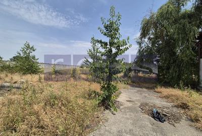 De vanzare teren industrial in Calarasi/Belciugatele - 11