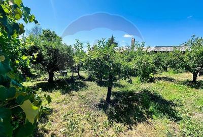 Casa cu Toate Utilitatile,Vedere Panoramica,Livada-Stefanesti, Arges - 32