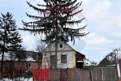 Casă cu 2 camere cu Teren 780 Mp în Moșna - 5