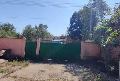 Casă cu 4 camere cu Teren 3000 Mp în Alioș - 17