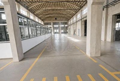 Spațiu comercial, de 3,500 mp, în Bereasca - 13