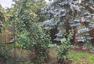 De vanzare – apartament spatios in casa, situat ultracentral - 1