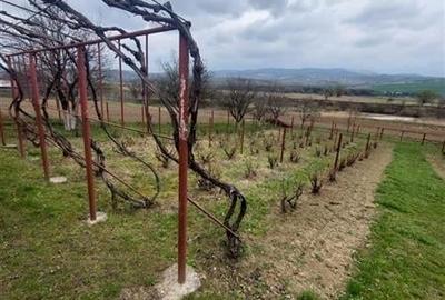 Casa de vanzare cu gradina aproape de Onesti - 10