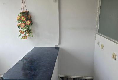 Vand garsoniera in Deva, zona I. Maniu, suprafata utila 31 mp, - 9