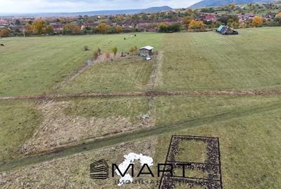 Teren  extravilan 2200 mp in Orlat - 2