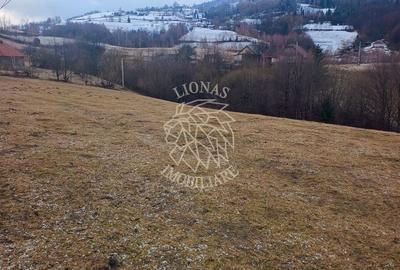 Spațiu comercial, în Vișagu - 5