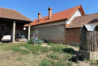 Casă cu 4 camere în Balomiru de Câmp - 3