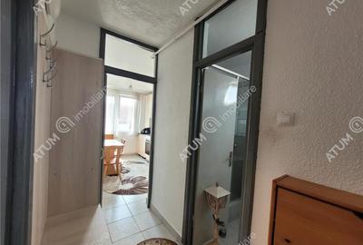 Garsonieră decomandată în Turnișor - 2