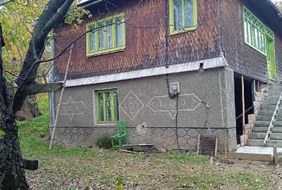 Casă cu Teren 9000 Mp în Poiana Vadului - 6