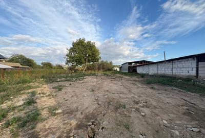 Teren 4449 mp cu utilitati, Curtisoara - la 13 km Tg. Jiu - 4