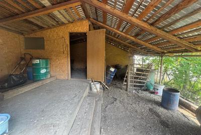 Valea Rediului ,vila tip duplex la strada principala , langa lac - 13