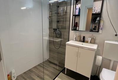 Garsonieră decomandată, mobilată în Valea Ialomiței - 9