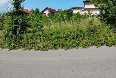 Teren pentru duplex sau casa individuala Dambu Rotund - 1