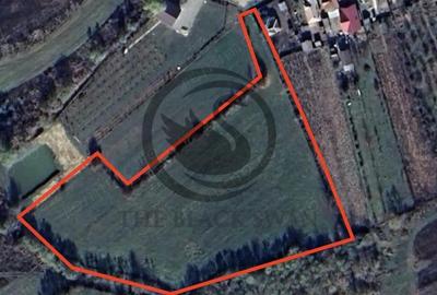 Teren de 11000 mp, în Ghirdoveni - 2