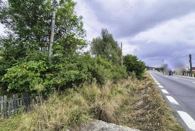Teren de 7300 mp, în Drăganu - 5
