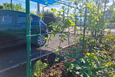 Casă individuală cu 3 camere cu Canalizare în Vișinii - 4