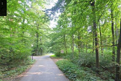 Spațiu comercial, în Snagov - 1