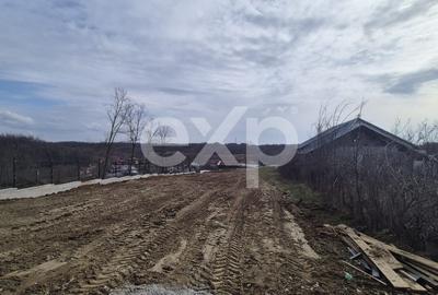 Teren Construcții intravilan de 1500 mp, în Albota - 3