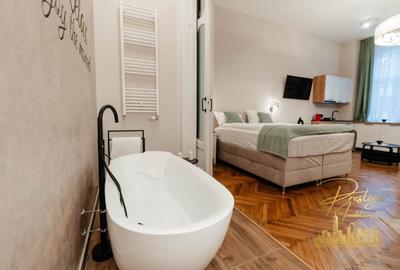 Apartament cu o camera de inchiriat 40mp in zona ultracentrala- Oradea - 14
