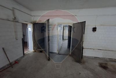 Casa de vanzare / Spatiu productie cu 12+ camere - 10