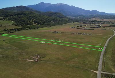 Teren de 14500 mp, în Sud - 1