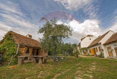 Casa saseasca in inima Transilvaniei - Bruiu 326 - 6