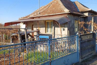 Vand casa in Bogata de Mure? - 2