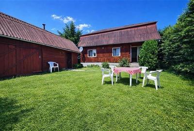 FILM &Tur LIVE! Casa de vacanta, intr- o ariere admirabila,Lunca Bradului. - 3