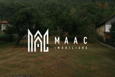 Teren Intravilan 10.000 mp | Livadă + Pădure de salcâm | Bărbătești - 2