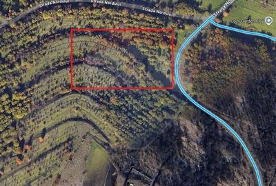 Teren intravilan de vanzare - zona Sopor, Cluj-Napoca Teren intravilan de vanzare - zona Sopor, Cluj-Napoca - 3