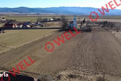 Casă cu 3 camere cu Teren 2407 Mp în Zăbala - 13