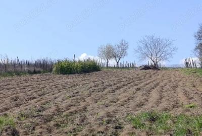 Casă în Ionășeni (Trușești) - 5