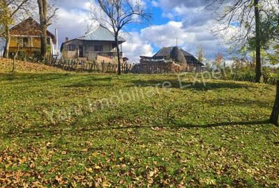 Teren de 1587 mp, în Arefu - 8