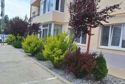 Apartament cu 2 camere decomandat în Valea Lupului - 8