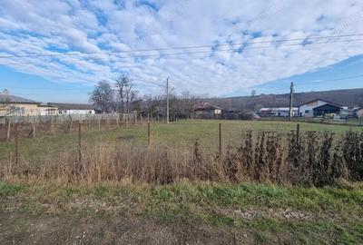 Casa + teren 2600 mp- Com. Negri- scop reziden?ial sau industrial - 7